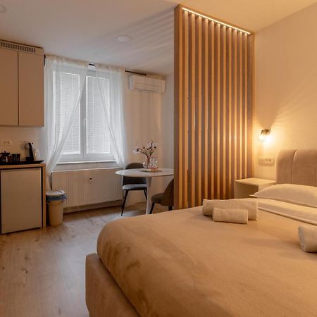 Classy & Cozy Apartment Ljubljana Kültér fotó